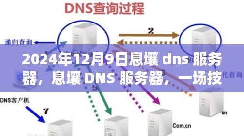 息壤DNS服务器技术革新深度探索，一场技术领域的探索之旅