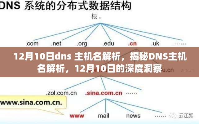 揭秘DNS主机名解析，深度洞察与解析过程（仅针对12月10日）