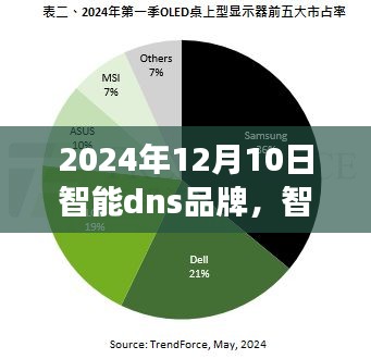 智能DNS品牌展望，解析技术革新与未来趋势（2024年12月10日）