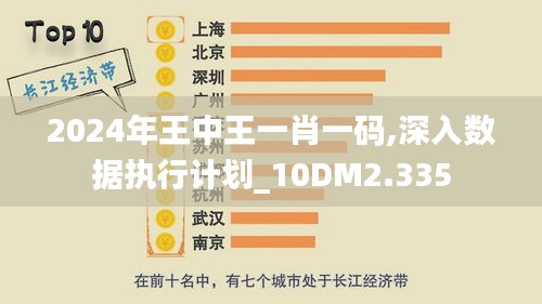 2024年王中王一肖一码,深入数据执行计划_10DM2.335