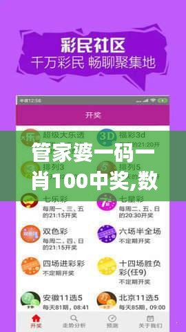 管家婆一码一肖100中奖,数据设计驱动解析_精装版3.679