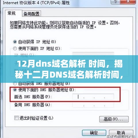 揭秘十二月DNS域名解析时间，技术细节与要点解析