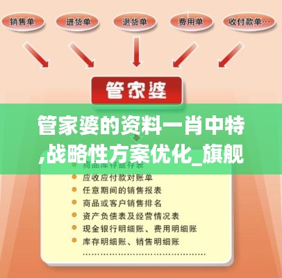 管家婆的资料一肖中特,战略性方案优化_旗舰版9.125