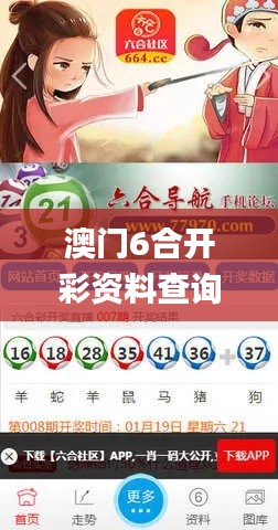 澳门6合开彩资料查询2023年最新,经典分析说明_高级版10.388