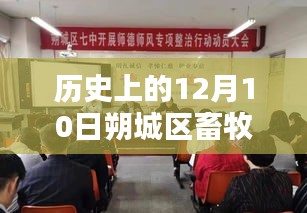 历史上的12月10日朔城区畜牧局开启新篇章，最新项目深度探究