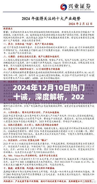 深度解析，2024年12月10日热门十诫产品评测报告