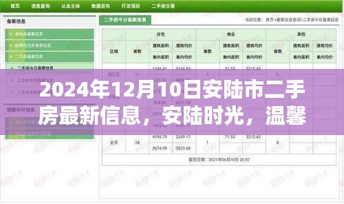 安陆时光，揭秘温馨二手房奇遇与最新房源信息