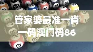 管家婆最准一肖一码澳门码86期,精细策略定义探讨_Console3.259