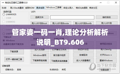 管家婆一码一肖,理论分析解析说明_BT9.606