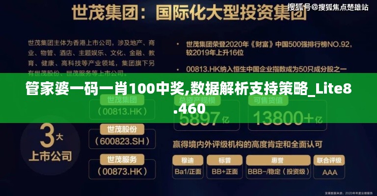 管家婆一码一肖100中奖,数据解析支持策略_Lite8.460