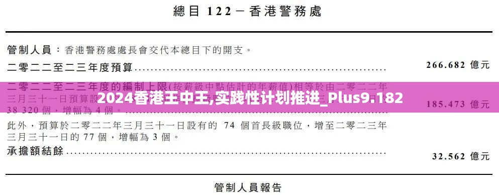 2024香港王中王,实践性计划推进_Plus9.182