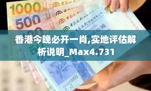 香港今晚必开一肖,实地评估解析说明_Max4.731