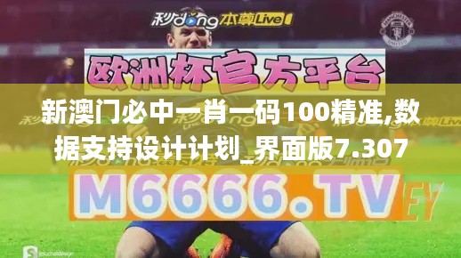 新澳门必中一肖一码100精准,数据支持设计计划_界面版7.307