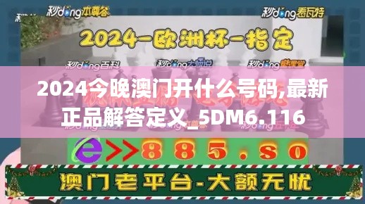 2024今晚澳门开什么号码,最新正品解答定义_5DM6.116