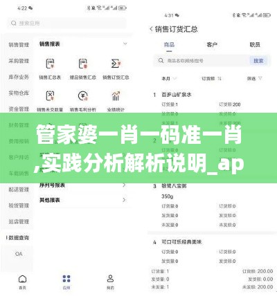 管家婆一肖一码准一肖,实践分析解析说明_app9.317