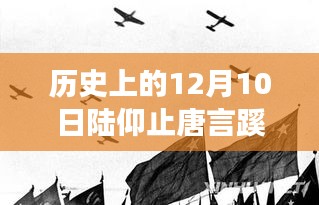 陆仰止唐言蹊，历史与文学交织的佳作最新章节 12月10日更新