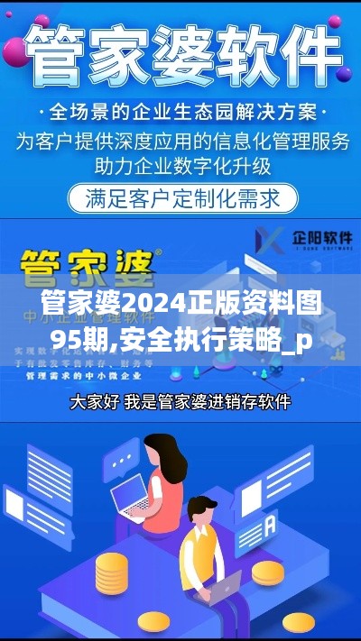 管家婆2024正版资料图95期,安全执行策略_pro9.665