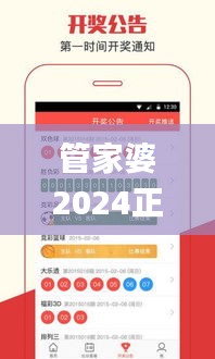 管家婆2024正版资料大全,详细解读定义方案_RX版1.663