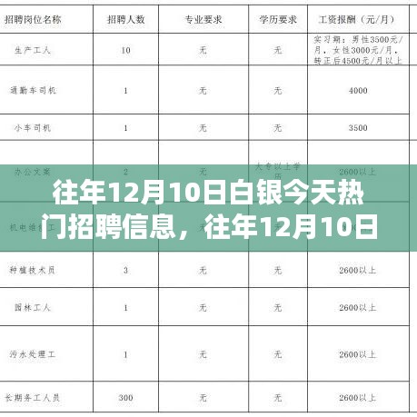 往年12月10日白银热门招聘信息汇总与求职攻略