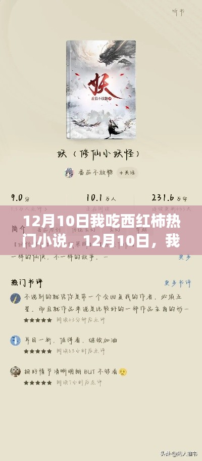 我在阅读西红柿热门小说的奇妙之旅，12月10日的阅读体验