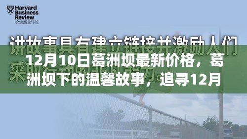 葛洲坝下的温馨故事，追寻最新价格之旅（12月10日）