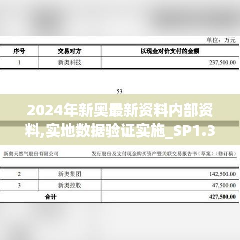 2024年新奥最新资料内部资料,实地数据验证实施_SP1.338