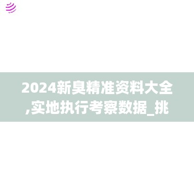 2024新臭精准资料大全,实地执行考察数据_挑战款12.981