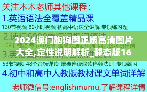 2024澳门跑狗图正版高清图片大全,定性说明解析_静态版16.192