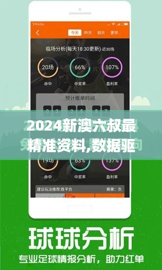 2024新澳六叔最精准资料,数据驱动分析解析_入门版2.441