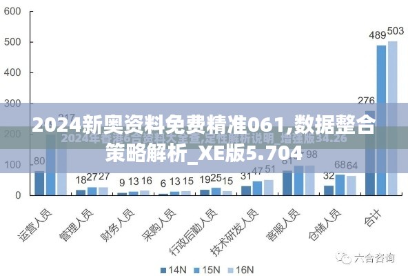 2024新奥资料免费精准061,数据整合策略解析_XE版5.704