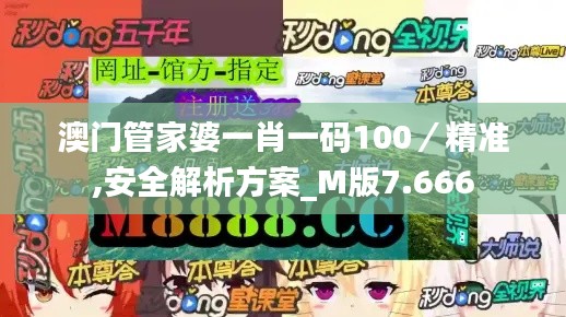 澳门管家婆一肖一码100／精准,安全解析方案_M版7.666