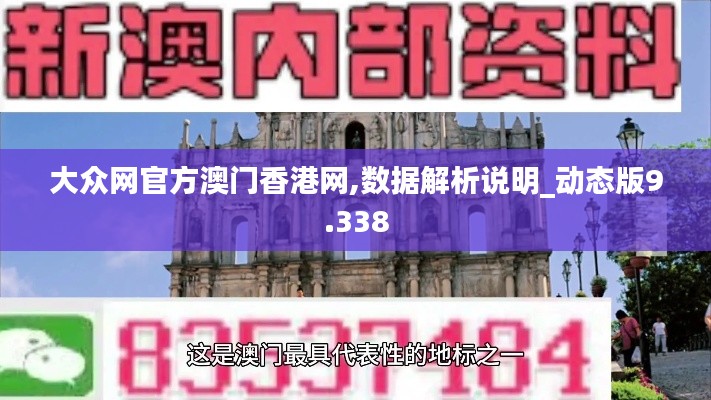 大众网官方澳门香港网,数据解析说明_动态版9.338