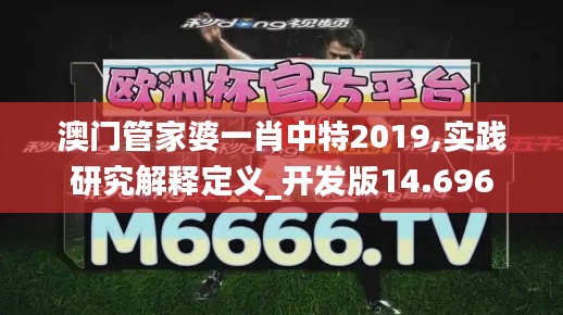 澳门管家婆一肖中特2019,实践研究解释定义_开发版14.696