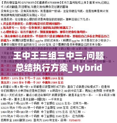 王中王三组三中三,问题总结执行方案_Hybrid8.427