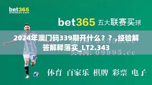 2024年澳门码339期开什么？？,经验解答解释落实_LT2.343