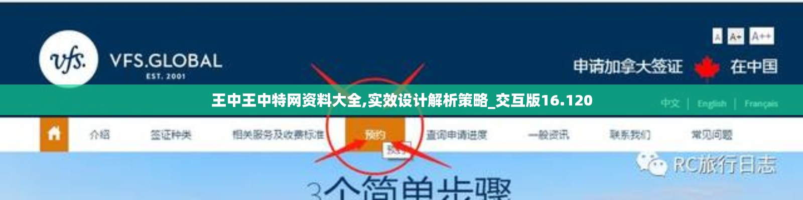 王中王中特网资料大全,实效设计解析策略_交互版16.120