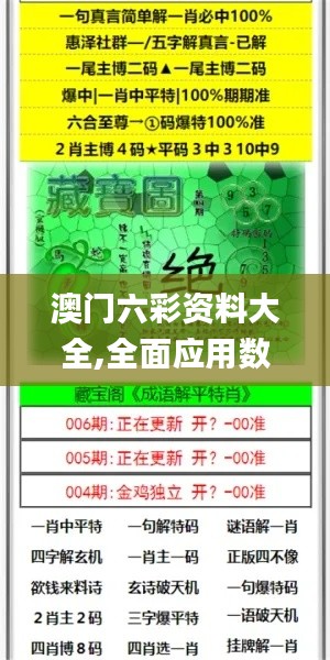 澳门六彩资料大全,全面应用数据分析_模拟版6.942