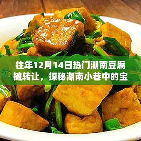 探秘湖南小巷热门豆腐摊转让背后的故事，宝藏豆腐摊的传承与变迁