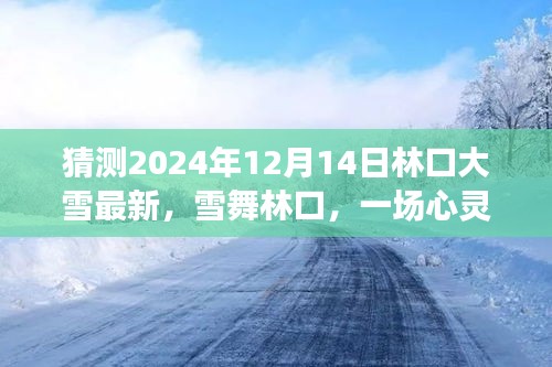 雪舞林口，心灵与自然的美妙邂逅，林口大雪最新预测报告（2024年12月14日）