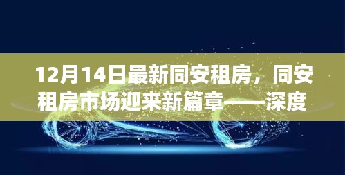 12月14日同安租房市场新篇章，深度解读最新动态