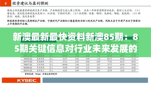 新澳最新最快资料新澳85期：85期关键信息对行业未来发展的影响分析