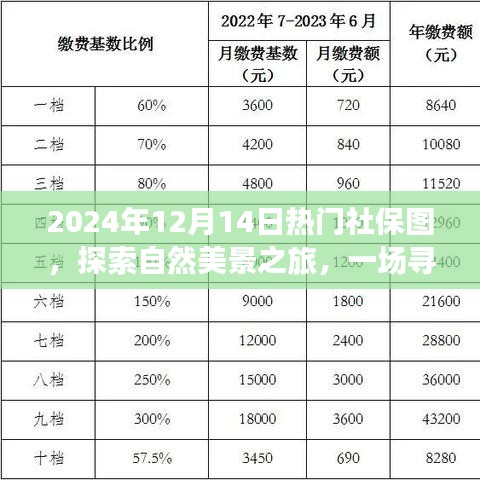 探索自然美景之旅，社保图揭秘与心灵宁静的奇妙之旅（2024年热门社保资讯）