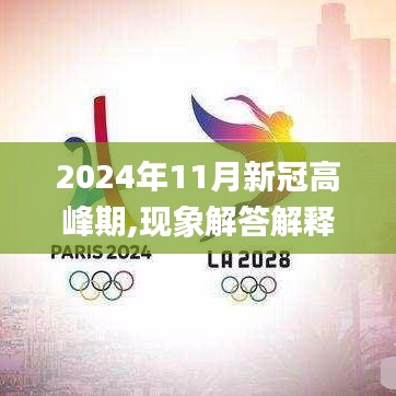 2024年11月新冠高峰期,现象解答解释定义_移动版14.792