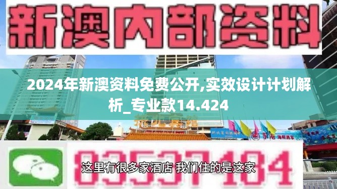 2024年新澳资料免费公开,实效设计计划解析_专业款14.424