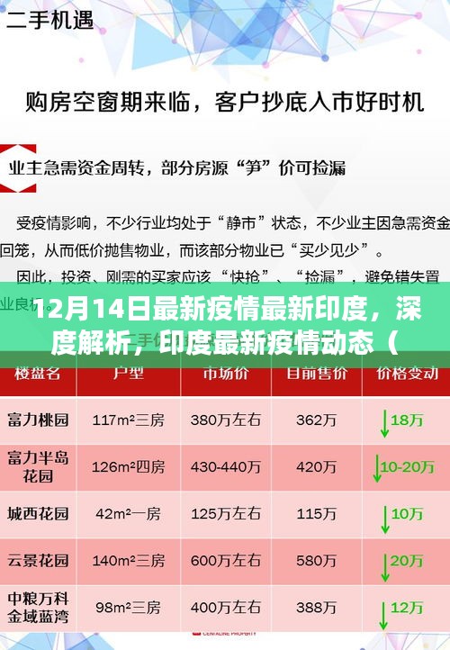 印度最新疫情动态深度解析，特性、用户体验与群体分析报告（12月14日版）