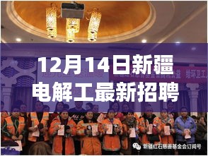 聚焦新疆电解工行业，最新招聘动态与未来展望（12月14日）