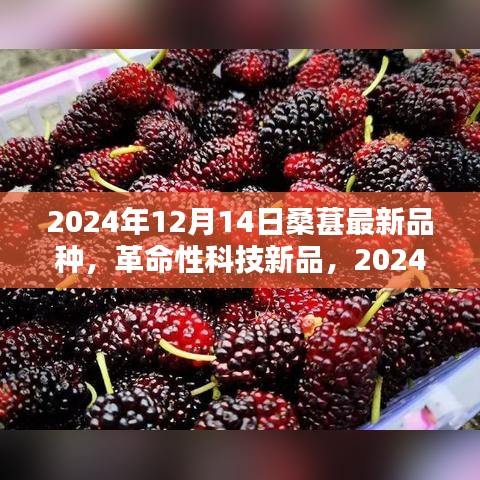 革命性科技下的未来盛宴，2024年桑葚新品种亮相，引领味蕾新潮流