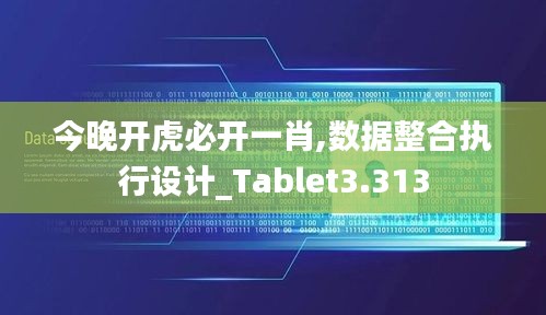 今晚开虎必开一肖,数据整合执行设计_Tablet3.313