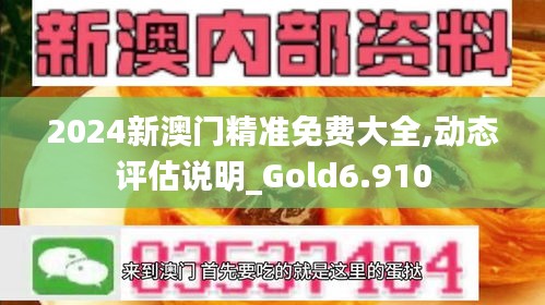 2024新澳门精准免费大全,动态评估说明_Gold6.910