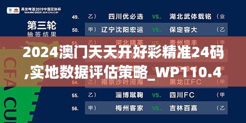 2024澳门天天开好彩精准24码,实地数据评估策略_WP110.408